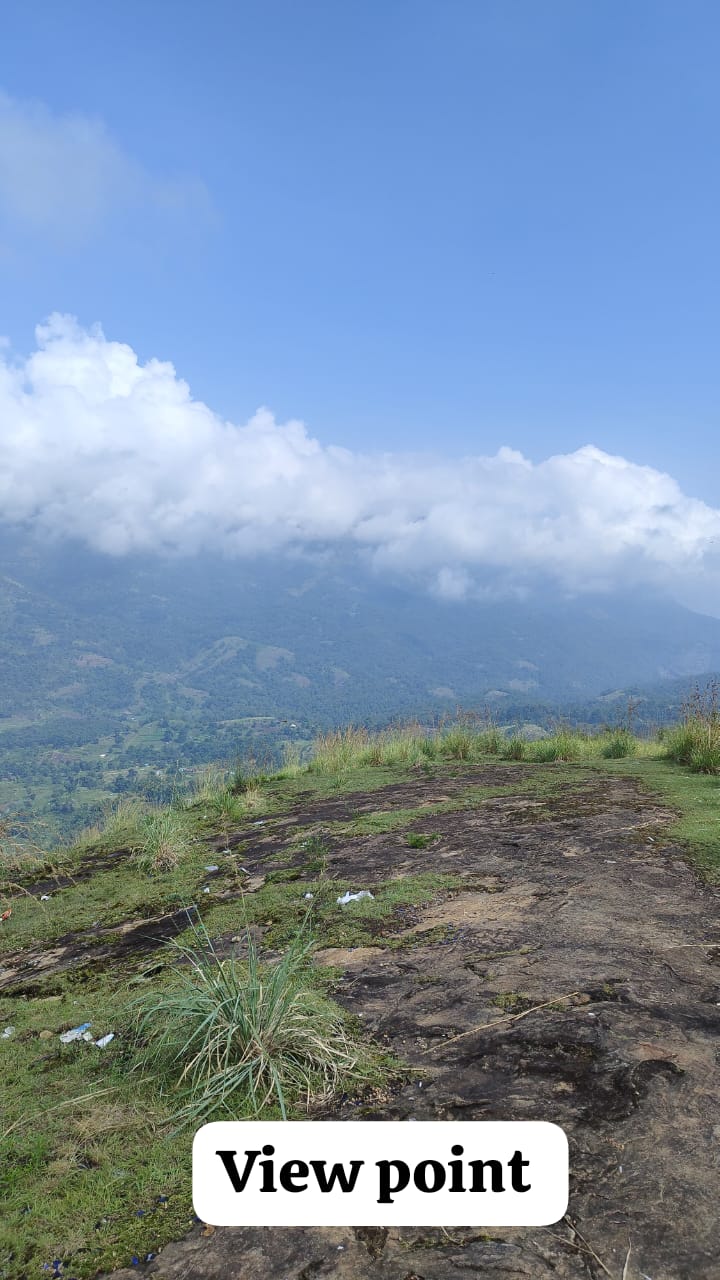 Kodaikanal Jeep Safari through pine forests